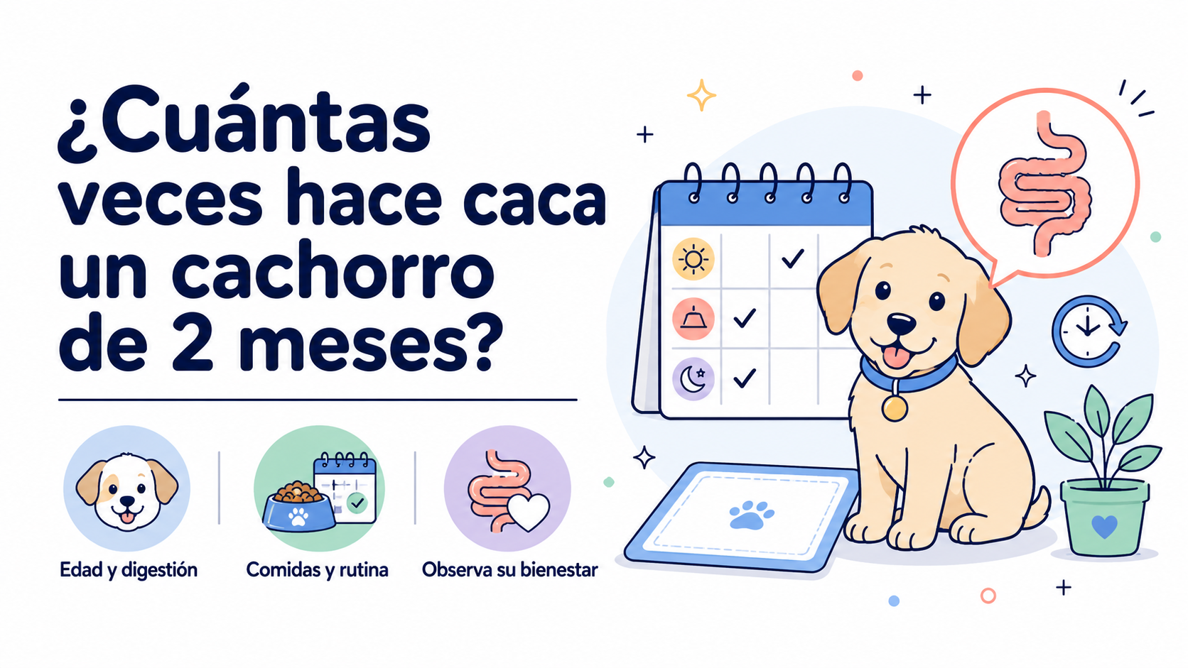 ¿Cuántas veces hace caca un cachorro de 2 meses?