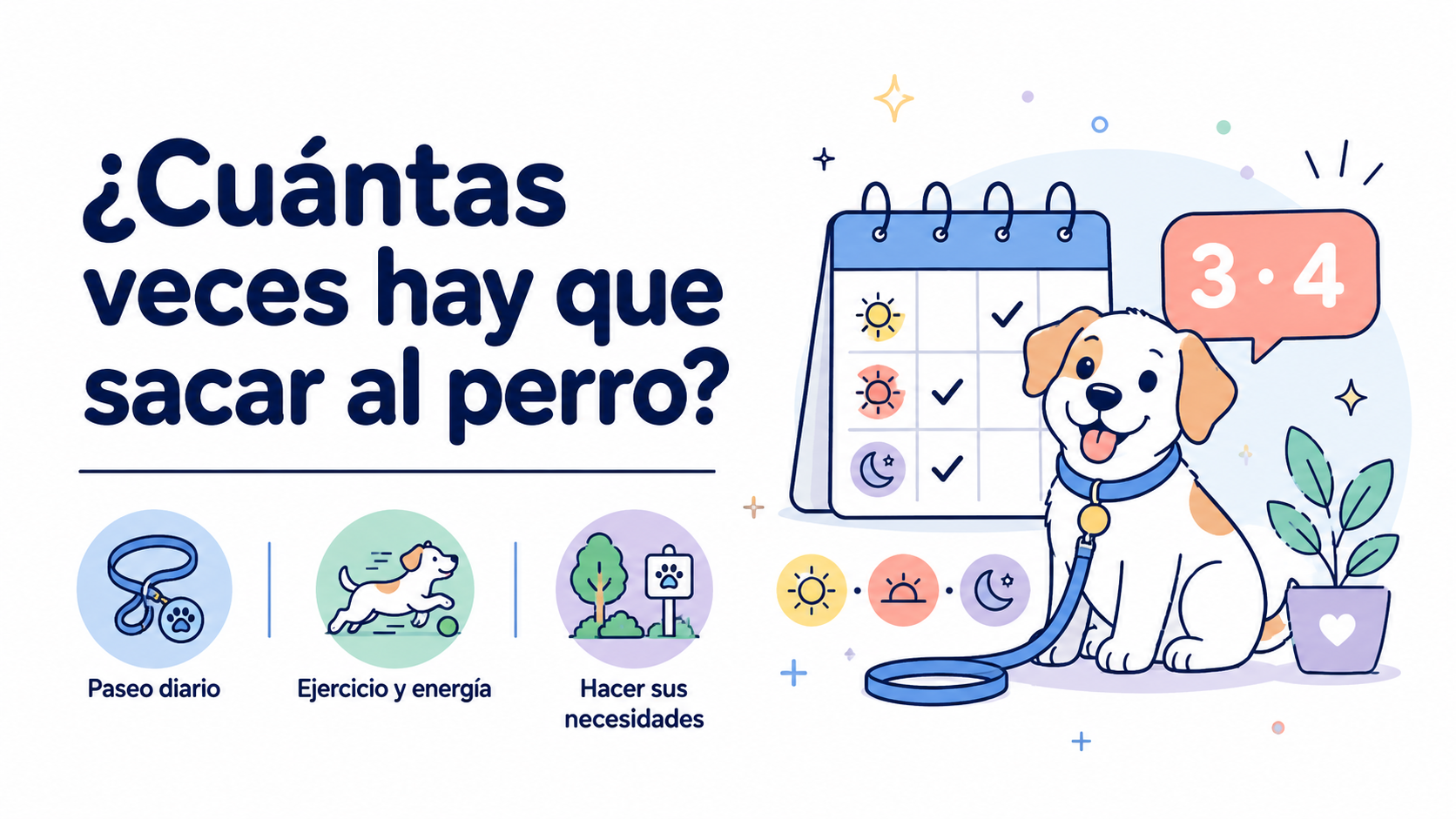 ¿Cuántas veces hay que sacar al perro al día?