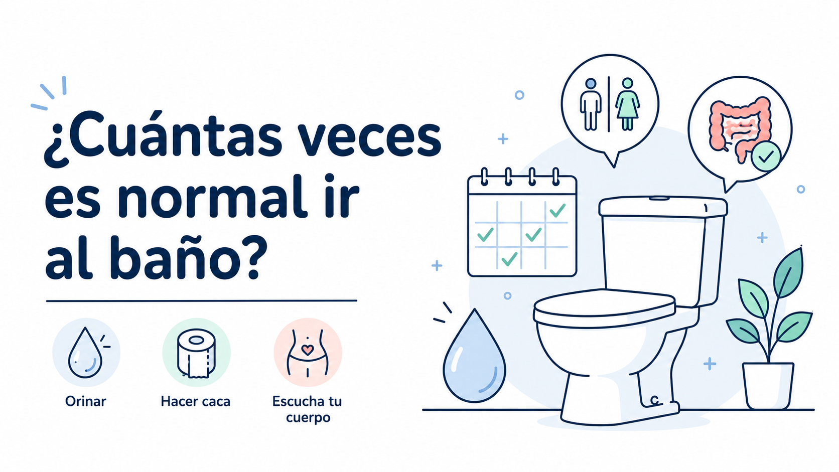 ¿Cuántas veces es normal ir al baño al día?