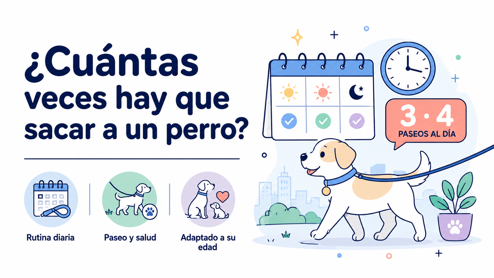 ¿Cuántas veces hay que sacar a un perro? Guía por situaciones