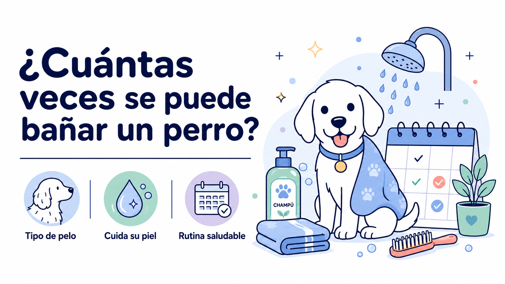 ¿Cuántas veces se puede bañar a un perro?