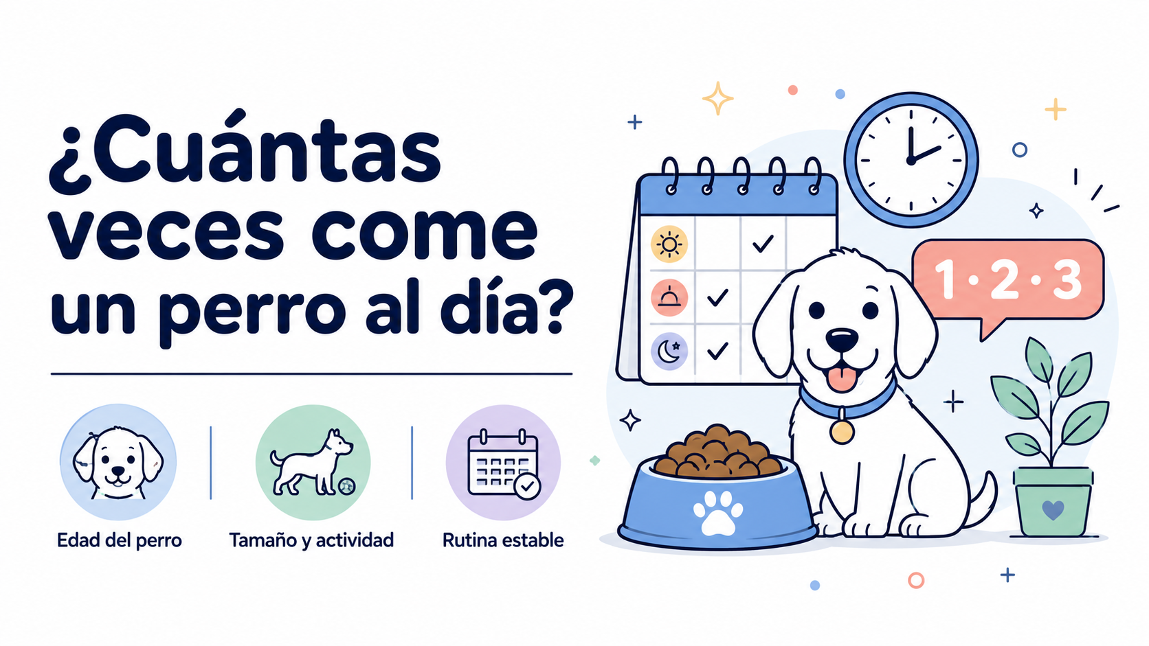 ¿Cuántas veces come un perro al día?