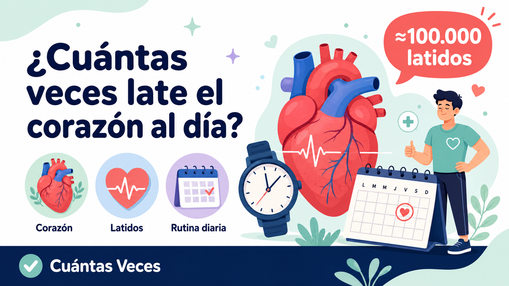 ¿Cuántas veces late el corazón al día?